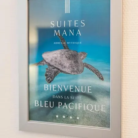 Mana - Bleu Pacifique - Vue Sur Place Ducale Avec Parking Prive Inclus Апартаменты